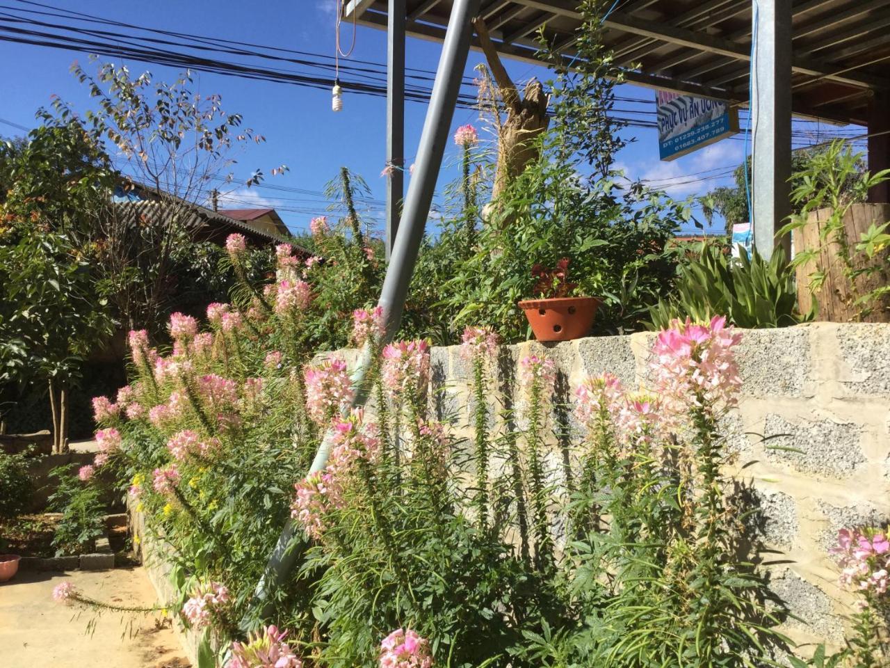 Do Gu Homestay Mu Cang Chai Экстерьер фото