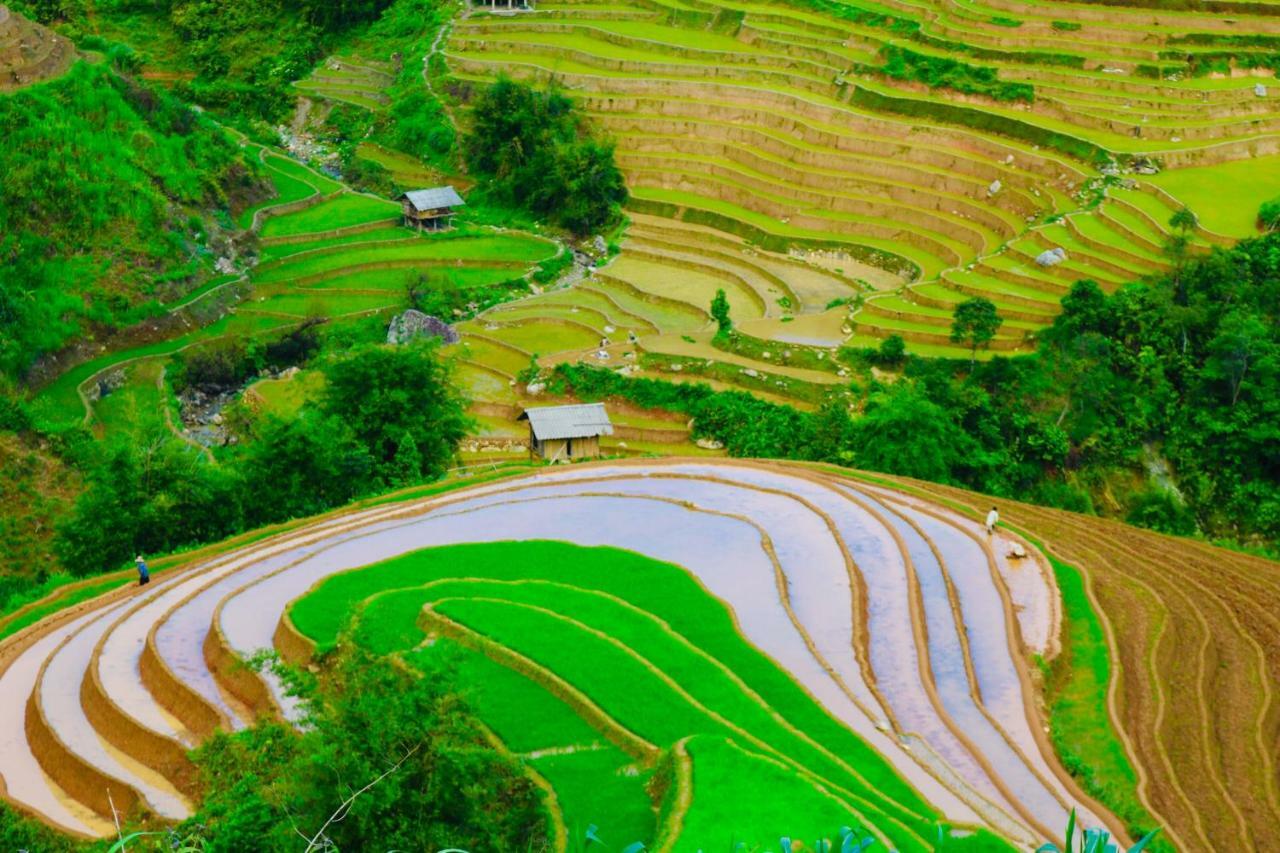 Do Gu Homestay Mu Cang Chai Экстерьер фото