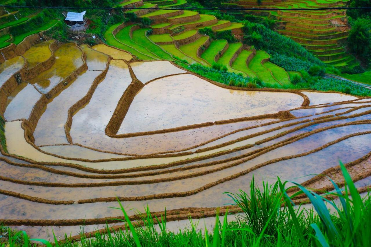 Do Gu Homestay Mu Cang Chai Экстерьер фото